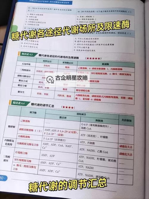 第三次生日DNA合成路线图：探索生命密码的创新途径图1