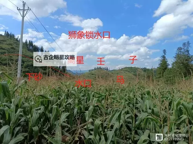 骑龙斩关的正确方法详解与实用攻略图2