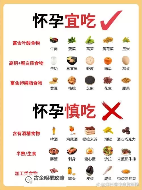 中国Vitafusion孕妇:孕期营养补充的理想选择图1