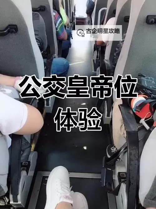 坐公交车最后一排轮:隐藏的风景与故事图1