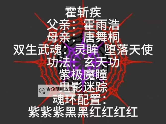 十个魂环是什么级别:揭秘魂环等级的详细解析图2