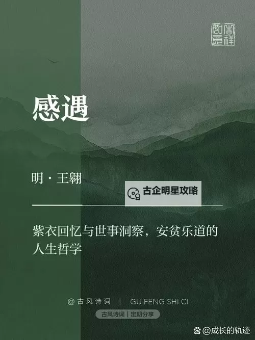 深深插入：一段难以忘怀的感官旅程图1