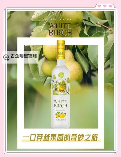 探索17c水果派的魅力:复古风情与现代味蕾的完美融合图1
