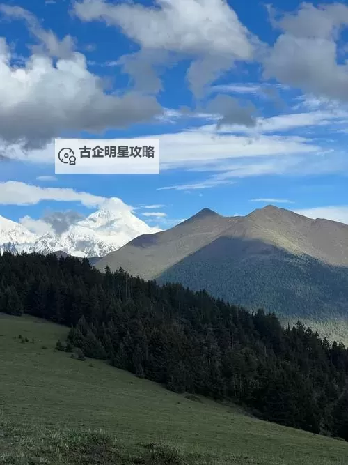 中国XXXXXL2023年：年度盛典引领未来新趋势图1