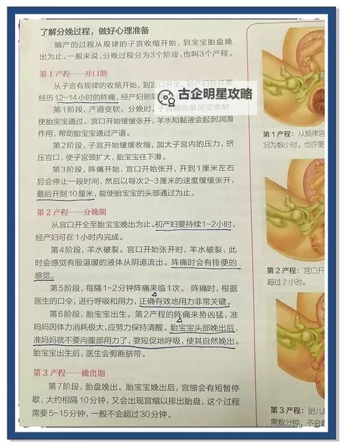 如何观看和理解正常分娩视频：新手须知图1