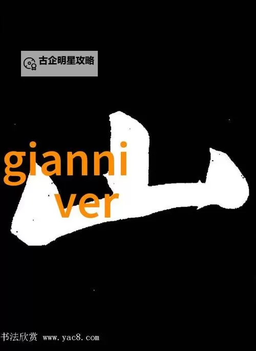 中字乱码一二三区别视频：揭示隐藏内容的真假与差异图1