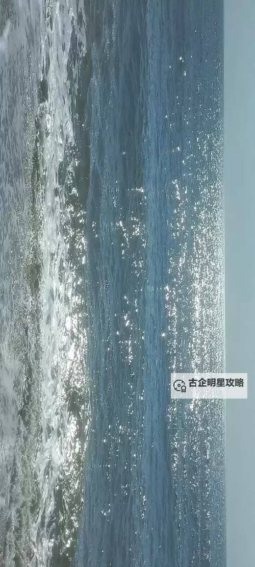 SiS001Board第一会所亚洲无码：最新地下资源全解析图1