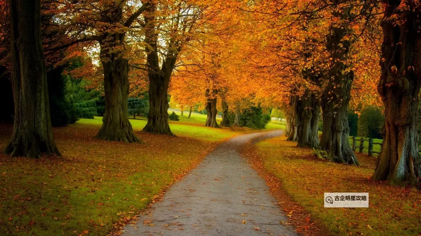 《文明7》重要数值介绍图2