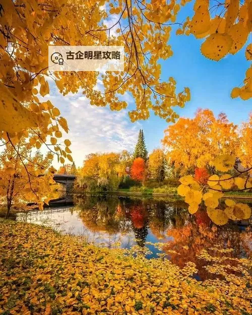 《怪物猎人崛起》鬼人激化双刀娱乐配装分享图1