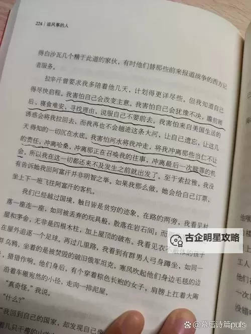 探索色房四播的奥秘:揭示其背后的文化与意义图1