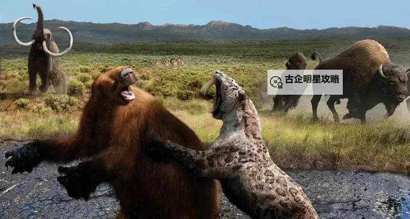 残暴狮vs剑齿虎：史前荒野的终极对决图1