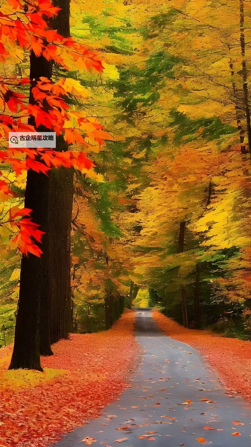 热血无赖怎么让警灯一直亮着：详细操作指南与技巧分享图1