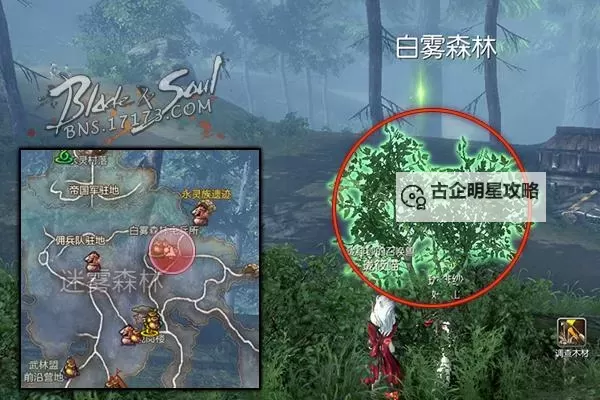 剑灵天木石怎么获得攻略：获取方法详解图2