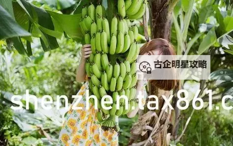 探索越南14MAY18_XXXXXL56ENDIAN:密码背后的秘密与文化踪迹图1