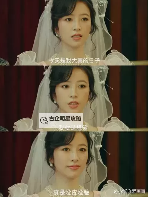 赵美娜与老周的温情故事:平凡岁月中的非凡情谊图1