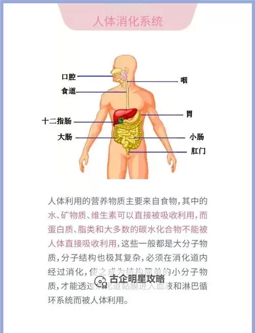 探索韩国人体三区四区：人体结构与健康的奥秘图1