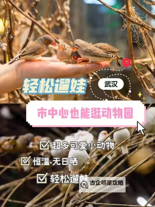 《动物井》轻松运送圆盘方法图1