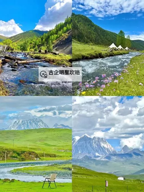 《怪物猎人荒野》超越巅峰尸体地图位置 涌油谷尸体在哪图1