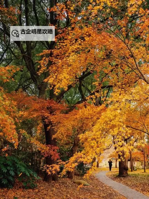 《怪物猎人崛起》鬼人激化双刀娱乐配装分享图2