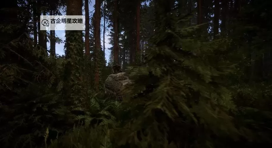 《森林之子》实用战斗小技巧图1