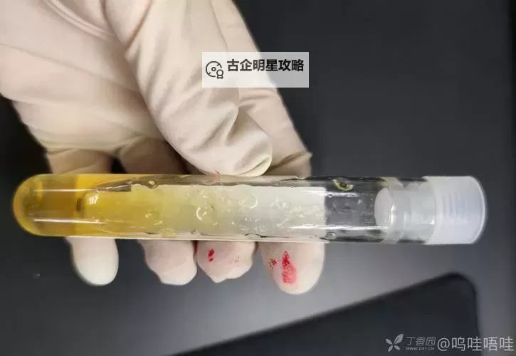 血源 血色胶冻获得方法 血色胶冻怎么获得图2