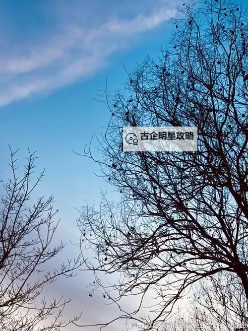 《龙腾世纪审判》武器与饰品特效CE代码 龙腾世纪审判武器特效CE代码有哪些图2