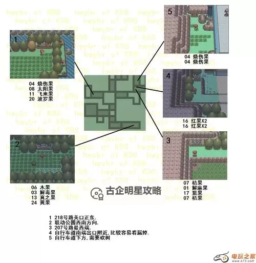 《口袋妖怪日月》全树果获得位置一览 树果在哪图2