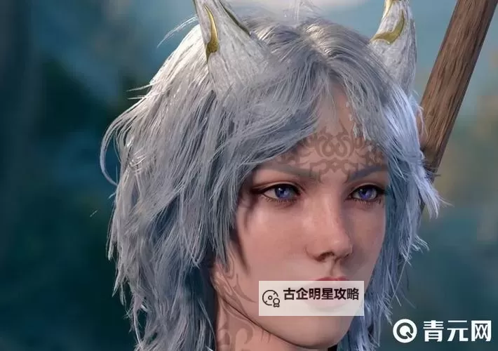 《博德之门3》人类女角色美观捏脸分享图1