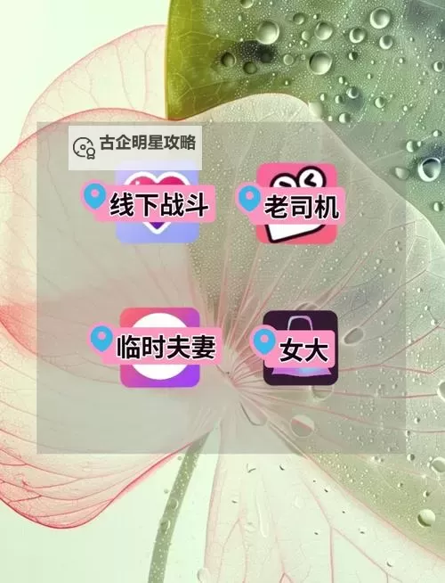 有没有心动女友双开软件推荐 深度解答如何双开心动女友图1