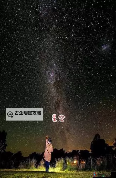 探索震撼人心的视觉盛宴:星空MV国产剧推荐排行榜图1