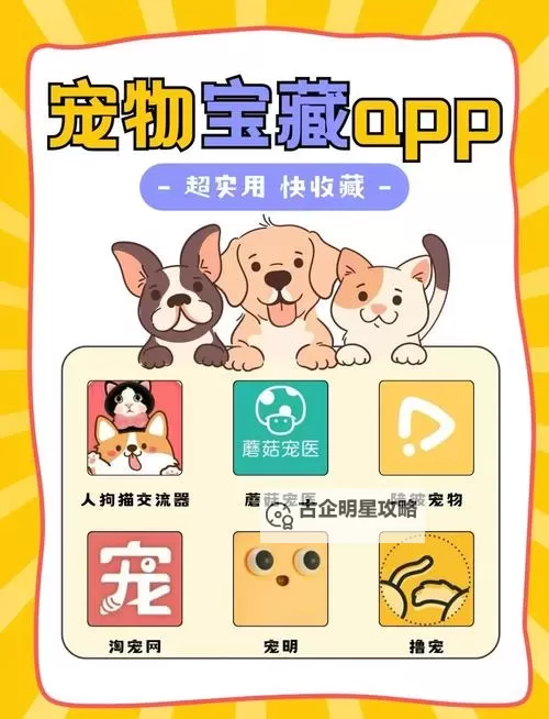 有没有宠物基地双开软件推荐 深度解答如何双开宠物基地图2