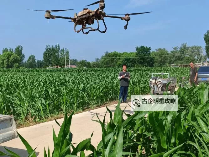 玉米地刮伦：乡村幽默中的别样趣味图1