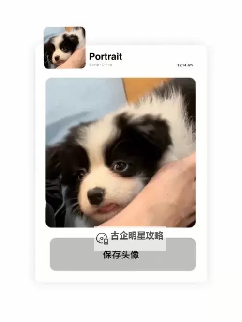 心动小狗电脑版下载 横向测评:电脑玩心动小狗模拟器推荐图1
