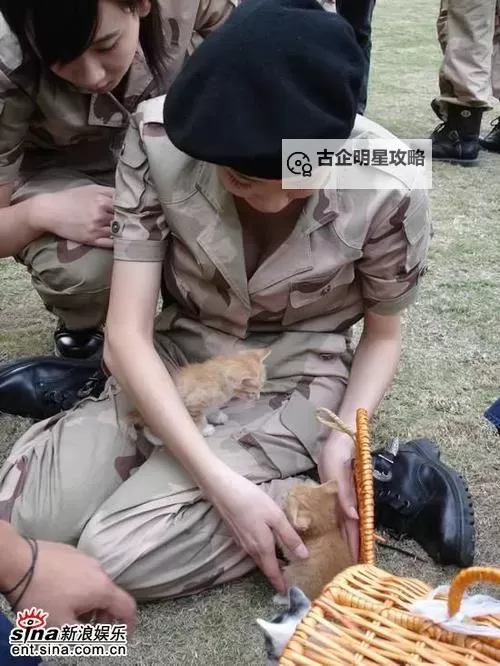 揭秘亚洲伦理偷拍:隐秘背后的道德与法律冲突图1