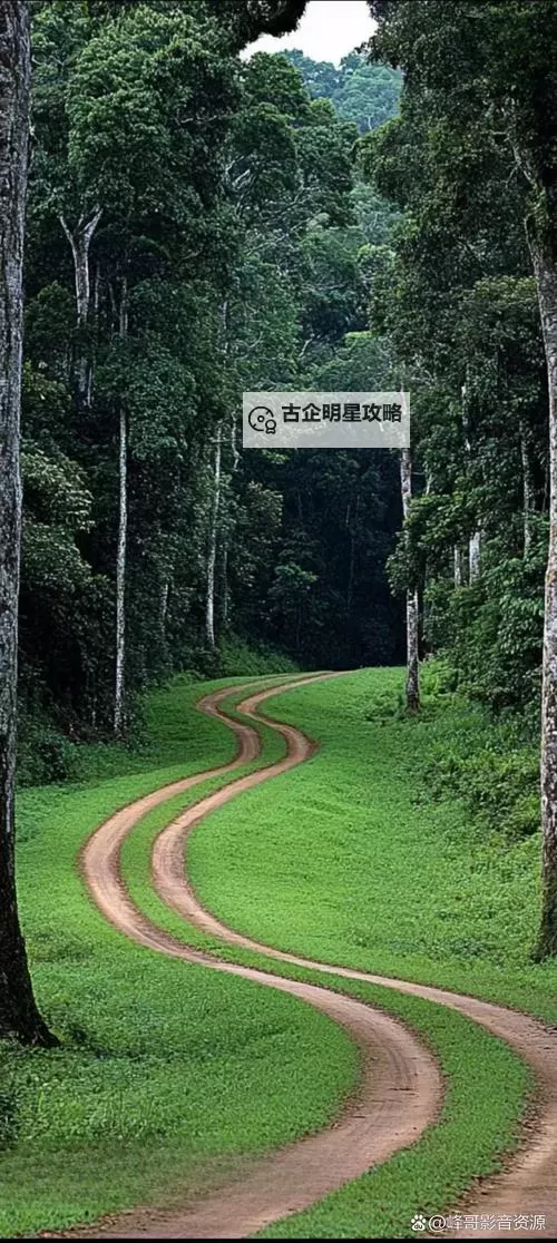 探索奇趣世界:黄色情小说快穿带你畅游异域惊喜图1