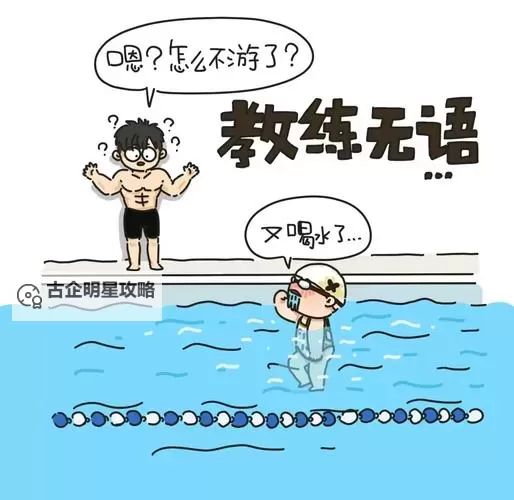 揭秘:游泳教练pop11h最火的一句背后的故事图1