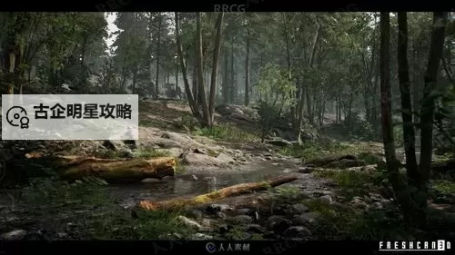 森林 32位系统游戏进入方法图1