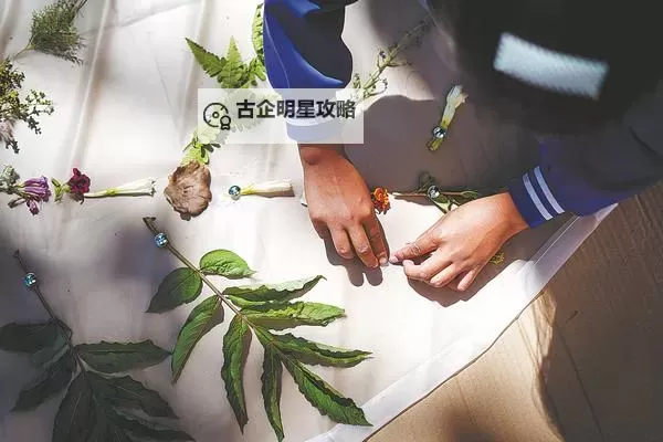 中国SpeakingAtHome学生的学习体验与提升策略图1