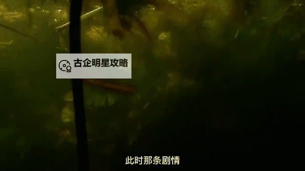 《揭秘沼泽猎手2：深藏的危机与未知的秘密》图1