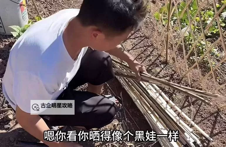 免费提供:搜集整理的10000个18岁以上免费视频大全图1