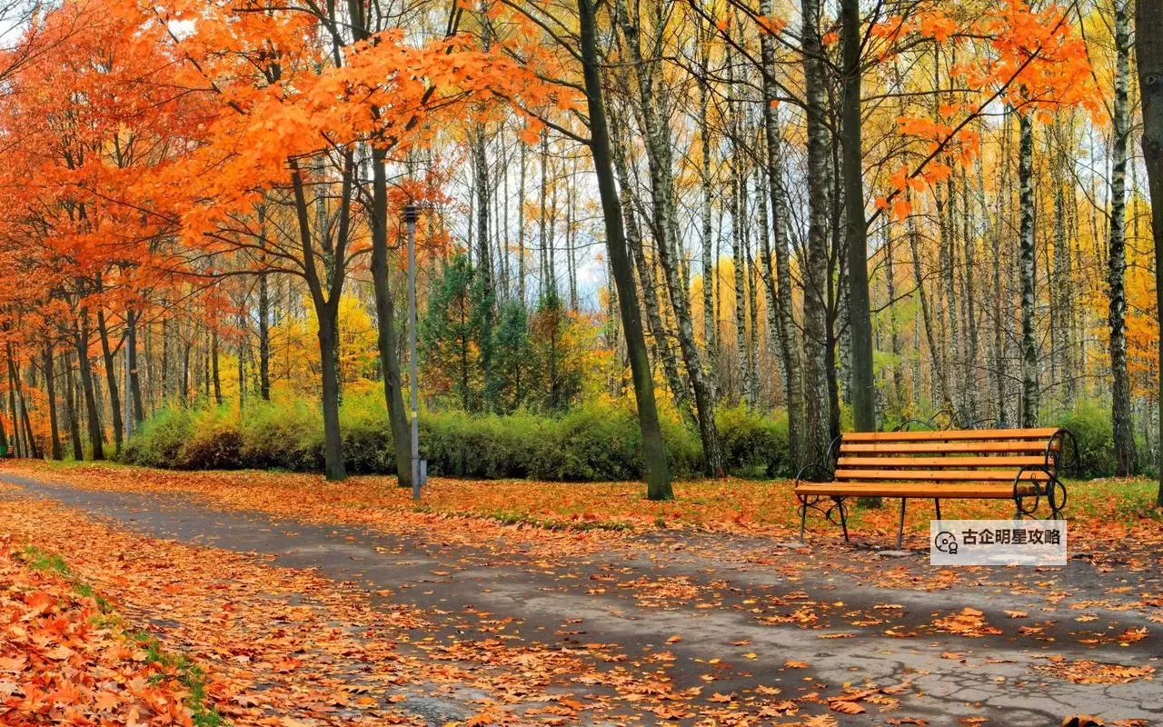 Q卡三国电脑版下载 横向测评:电脑玩Q卡三国模拟器推荐图1