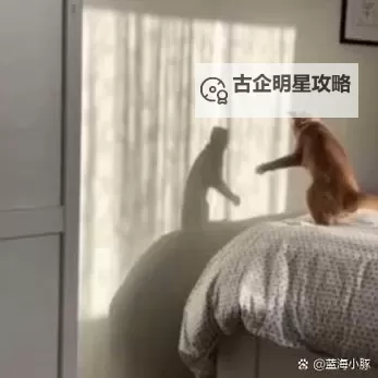 自己对着它坐下来：那份静谧的对话图1