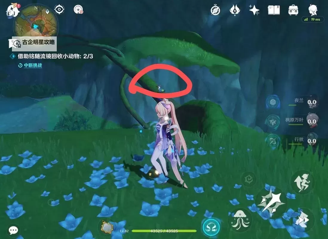 《原神》3.8传心同视第二天小动物位置 传心同视第二天动物在哪图1