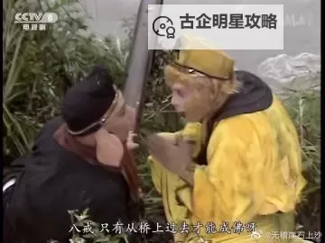 探索最全的17369视频在线观看网站：高清在线电影免费看图1