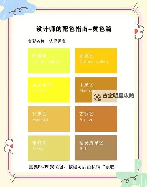 专业指南：鉴黄师色板安装详解与操作步骤图1