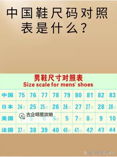 全面解析7777777亚洲和欧洲尺码表：穿衣指南与换算方法图1