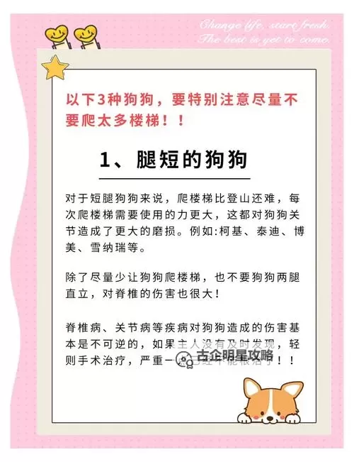 看门狗 爬楼玩法图文心得图2