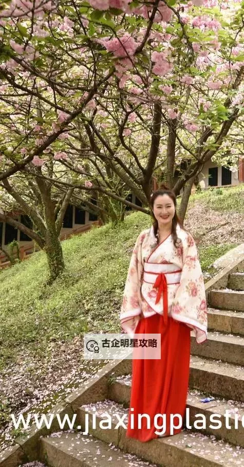 雨露均沾后宅全：论和谐共荣的家族智慧图1