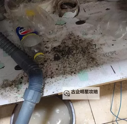 用我的棒棒通你的下水道：奇趣冒险大揭秘图1