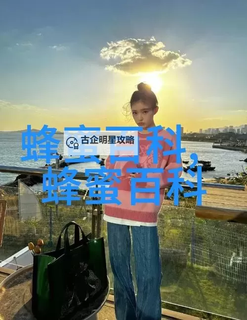 岳两女共夫:家庭伦理与情感纠葛的深度探索图1